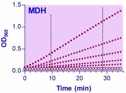 Malate Dehydrogenase Assay Kit