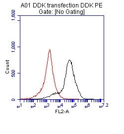 Clone OTI4C5, Anti-DDK (FLAG) monoclonal antibody, Phycoerythrin (PE)