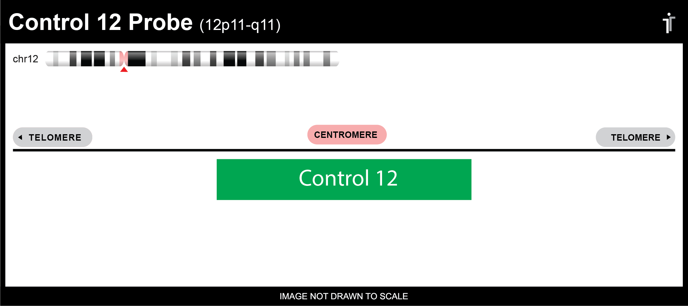 Chromosome