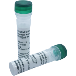 Lyophilized exosomes from urine of healthy donors (2x30µg vial)