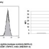 Anti-CD81 (TAPA1) mAb