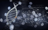 Adapters for the preparation of ARN (cDNA) libraries for Illumina NGS