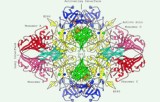 Galactosidase activity assay