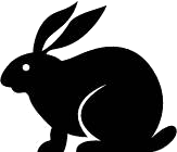 Synapsin II Rabbit mAb